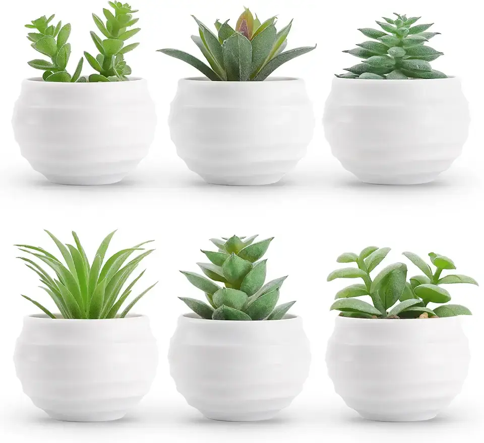 Der Rose Set of 6 Succulents Plants Artificial in Pots Small Fake Plants for Bedroom Aesthetic Living Room Shelf Bathroom Decor Office Desk Accessories