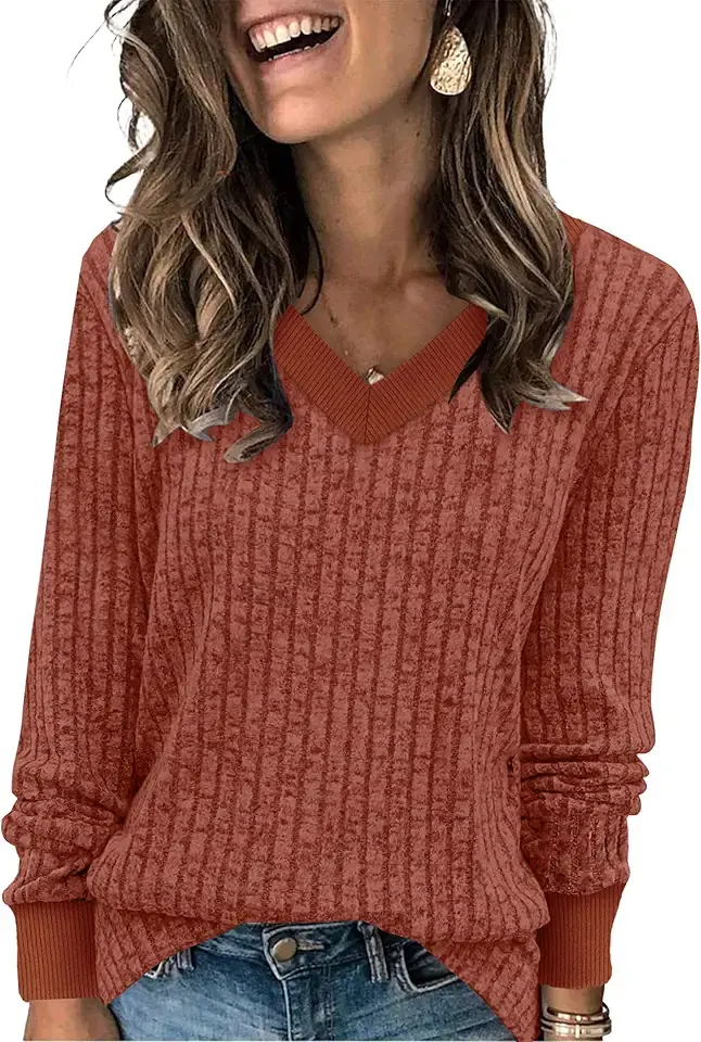 SAMPEEL Women's V Neck Color Block Long Sleeve Shirts–Casual Fall Tops, Lightweight Tunic Sweaters Fashion Outfits 2025 OEKO-TEX STANDARD 100